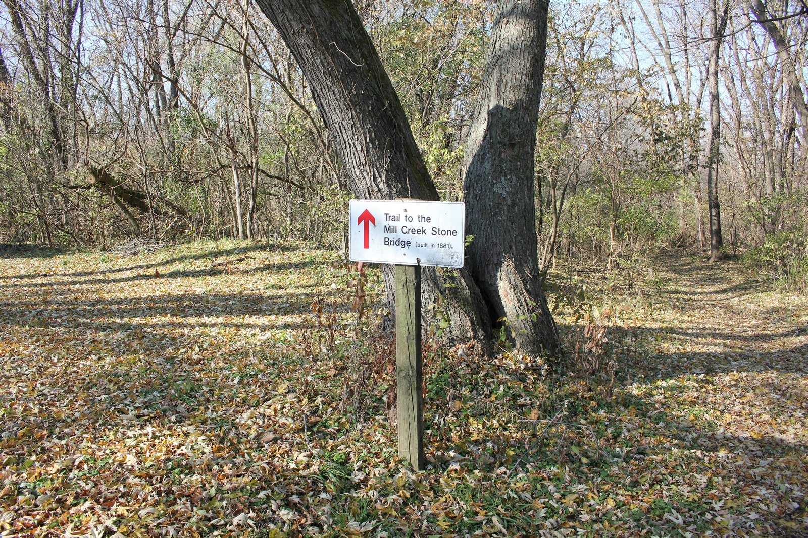 Signage and date